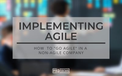 Tips for Implementing Agile the Right Way