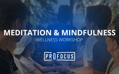 Wellness at ProFocus – Meditation & Mindfulness