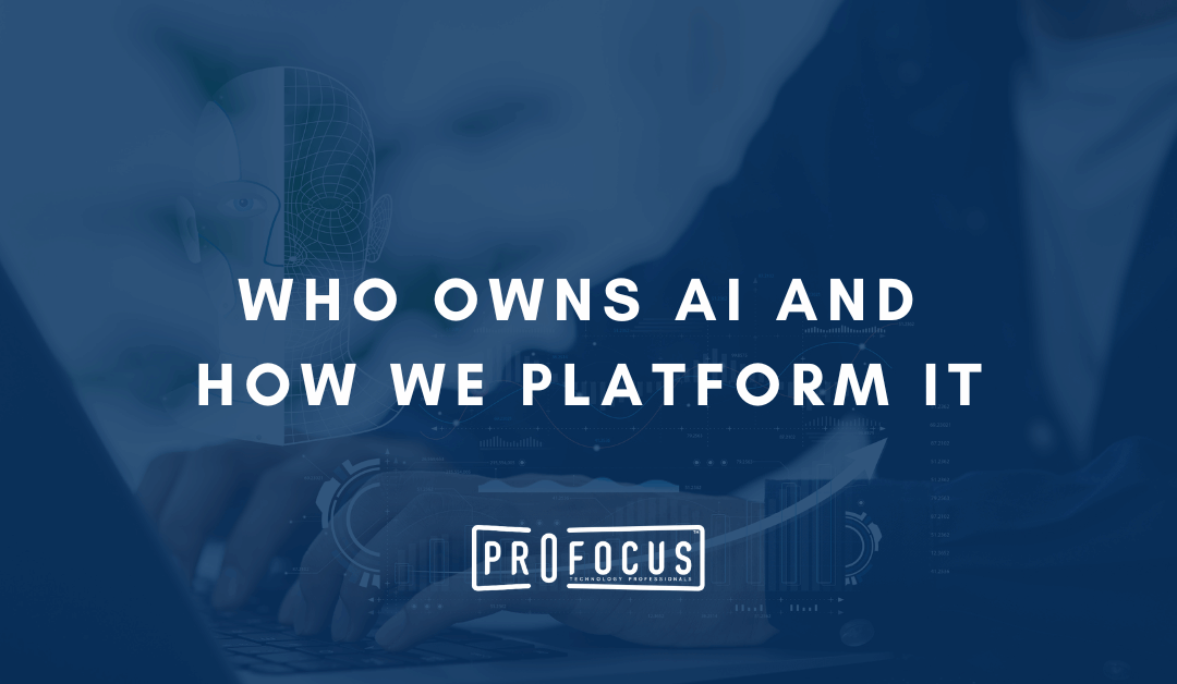 Who Owns AI and How We Platform It